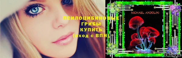 mdpv Инта