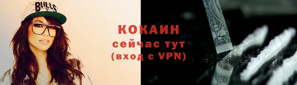 mdpv Инта