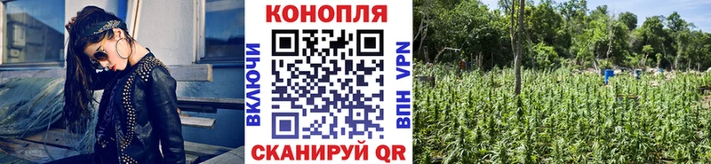 Бошки марихуана LSD WEED  Енисейск 